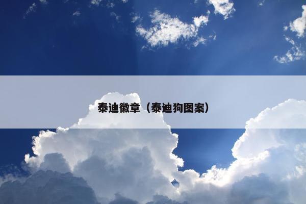 泰迪徽章（泰迪狗图案）