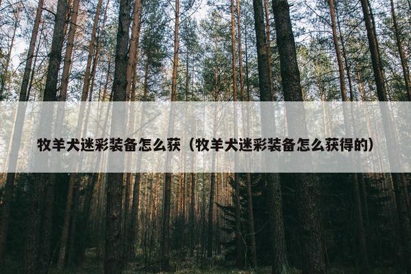 牧羊犬迷彩装备怎么获（牧羊犬迷彩装备怎么获得的）