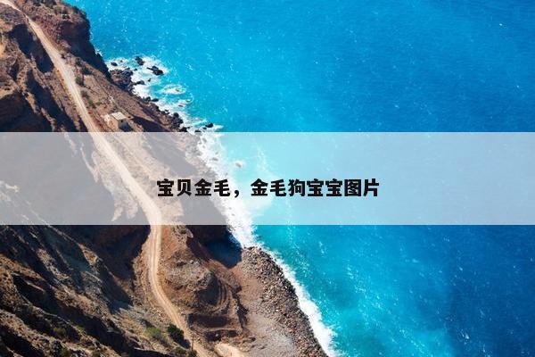 宝贝金毛，金毛狗宝宝图片