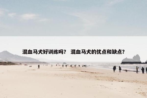 混血马犬好训练吗？ 混血马犬的优点和缺点？
