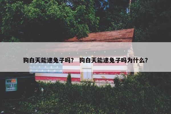 狗白天能逮兔子吗？ 狗白天能逮兔子吗为什么？
