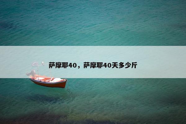 萨摩耶40，萨摩耶40天多少斤