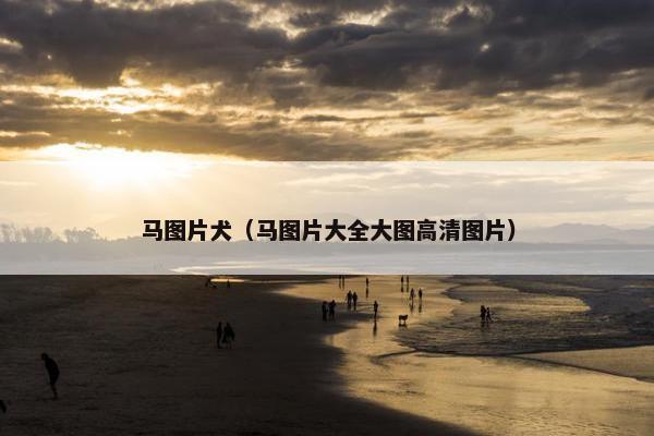 马图片犬（马图片大全大图高清图片）