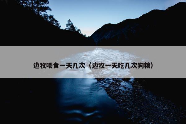 边牧喂食一天几次（边牧一天吃几次狗粮）