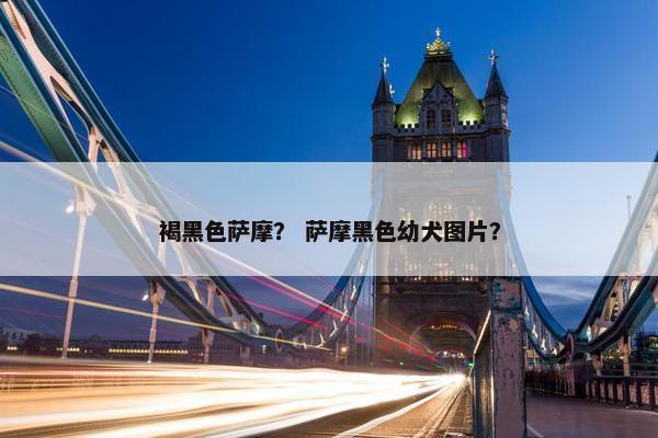 褐黑色萨摩？ 萨摩黑色幼犬图片？