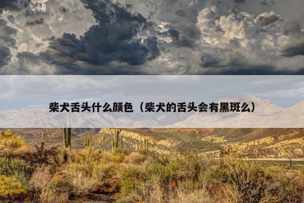 柴犬舌头什么颜色（柴犬的舌头会有黑斑么）