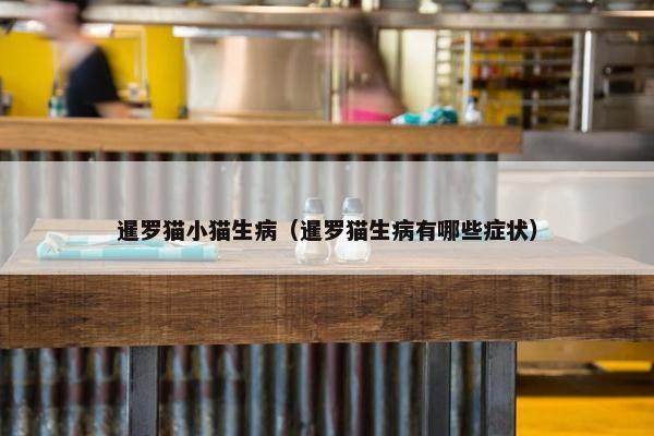 暹罗猫小猫生病（暹罗猫生病有哪些症状）