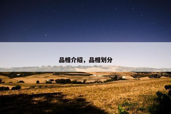 品相介绍，品相划分