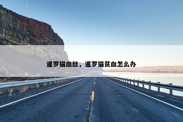2025年7月1日