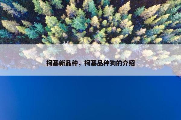 柯基新品种，柯基品种狗的介绍