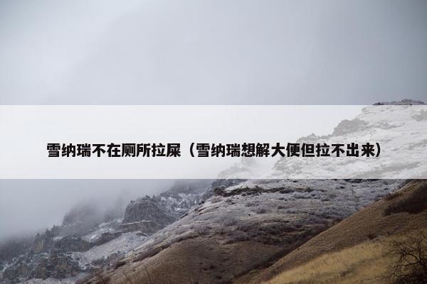 雪纳瑞不在厕所拉屎（雪纳瑞想解大便但拉不出来）