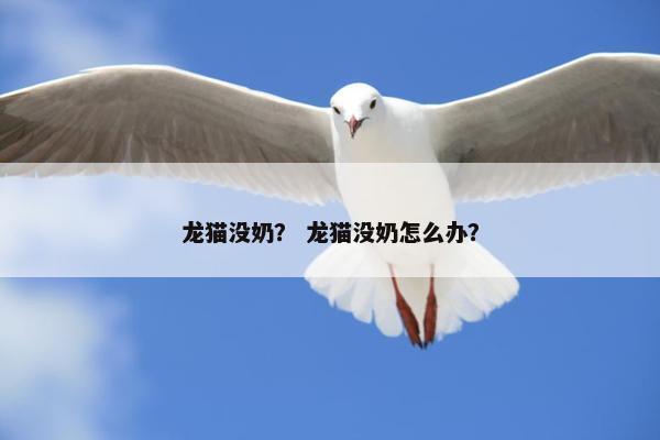 龙猫 第2页