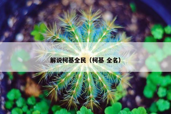 解说柯基全民（柯基 全名）
