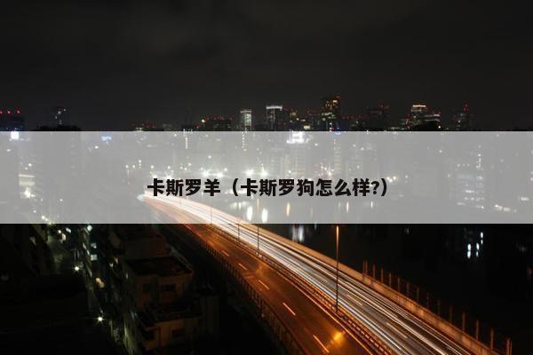 卡斯罗羊（卡斯罗狗怎么样?）