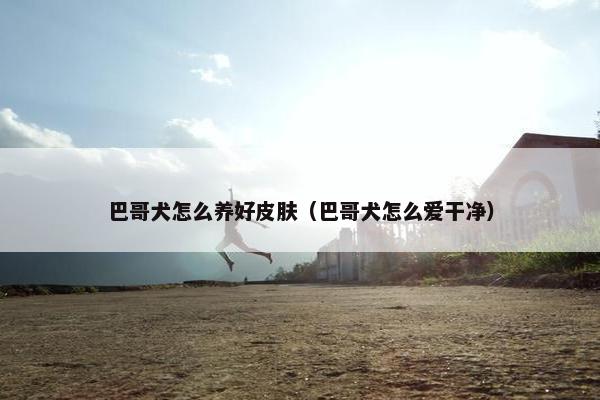 巴哥犬怎么养好皮肤（巴哥犬怎么爱干净）
