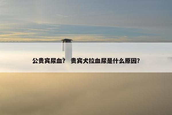 公贵宾尿血？ 贵宾犬拉血尿是什么原因？