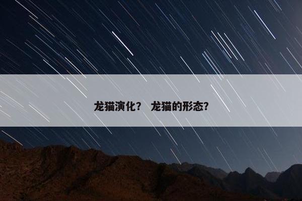 龙猫演化？ 龙猫的形态？