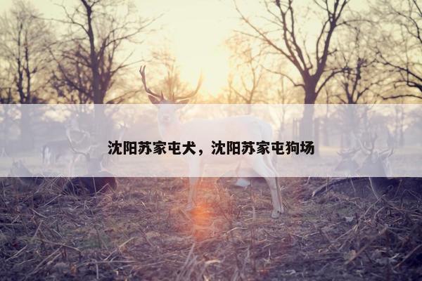 沈阳苏家屯犬，沈阳苏家屯狗场