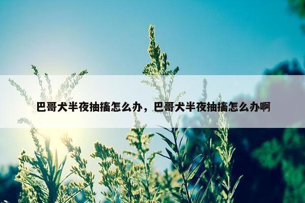 巴哥犬半夜抽搐怎么办，巴哥犬半夜抽搐怎么办啊