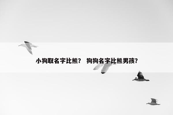 小狗取名字比熊？ 狗狗名字比熊男孩？
