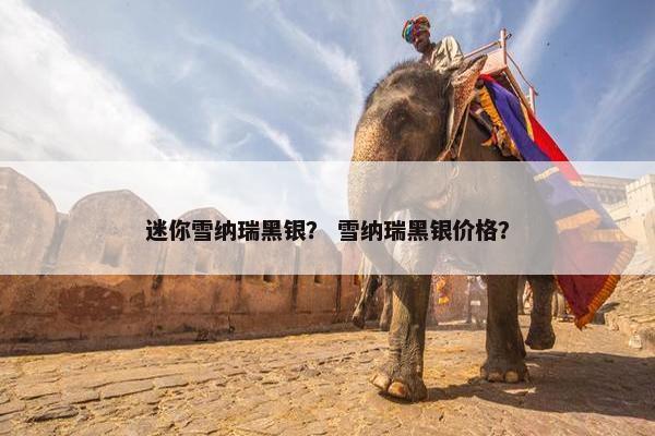 迷你雪纳瑞黑银？ 雪纳瑞黑银价格？