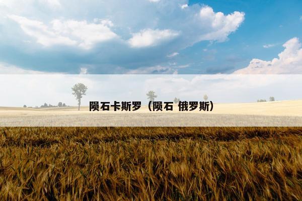 陨石卡斯罗（陨石 俄罗斯）