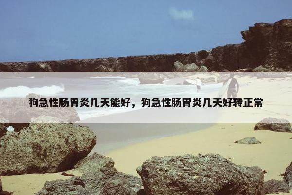 狗急性肠胃炎几天能好，狗急性肠胃炎几天好转正常