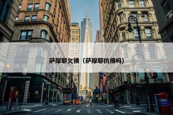萨摩耶欠揍（萨摩耶抗揍吗）