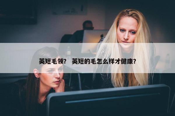 英短毛领？ 英短的毛怎么样才健康？