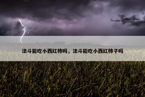 法斗能吃小西红柿吗，法斗能吃小西红柿子吗