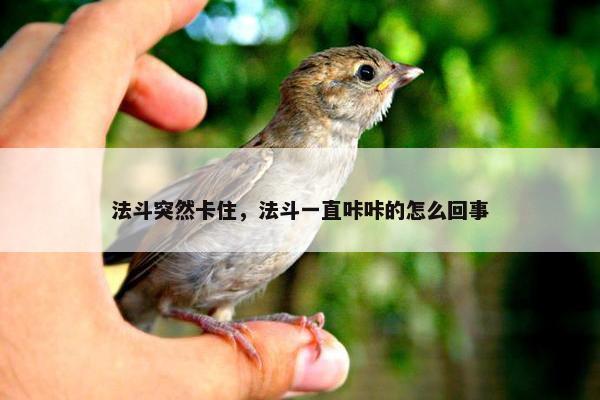 法斗突然卡住，法斗一直咔咔的怎么回事