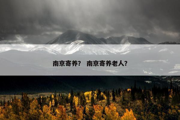 南京寄养？ 南京寄养老人？