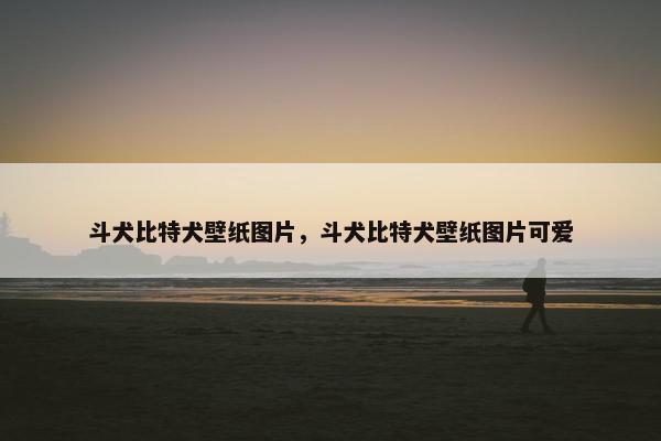 斗犬比特犬壁纸图片，斗犬比特犬壁纸图片可爱