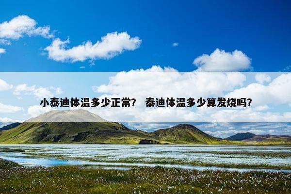 小泰迪体温多少正常？ 泰迪体温多少算发烧吗？