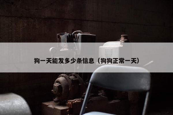狗一天能发多少条信息（狗狗正常一天）