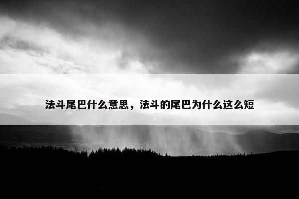 法斗尾巴什么意思，法斗的尾巴为什么这么短