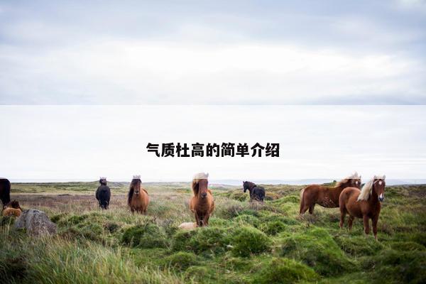 气质杜高的简单介绍