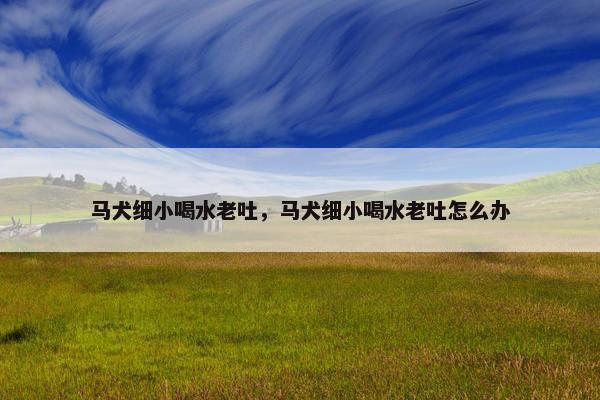 马犬细小喝水老吐，马犬细小喝水老吐怎么办