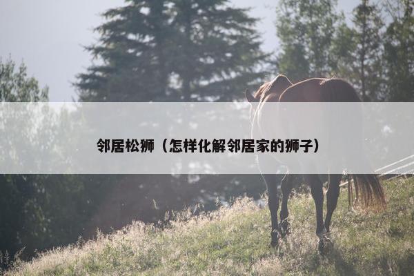 邻居松狮（怎样化解邻居家的狮子）