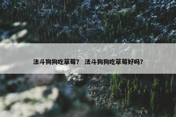 法斗狗狗吃草莓？ 法斗狗狗吃草莓好吗？
