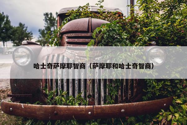 哈士奇萨摩耶智商（萨摩耶和哈士奇智商）