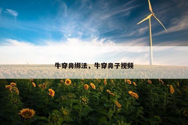 牛穿鼻绑法，牛穿鼻子视频