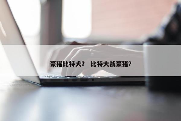 豪猪比特犬？ 比特大战豪猪？