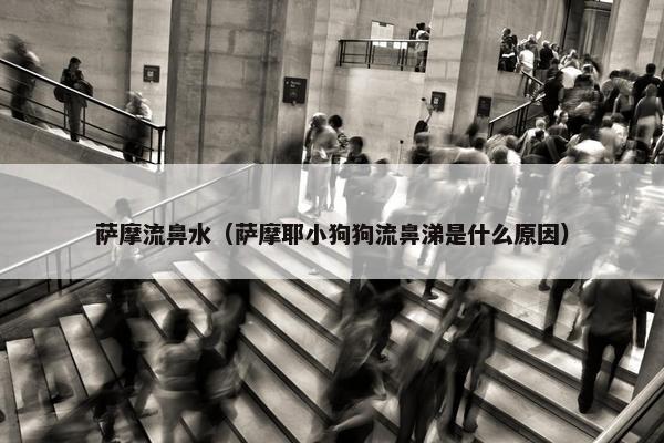 萨摩流鼻水（萨摩耶小狗狗流鼻涕是什么原因）