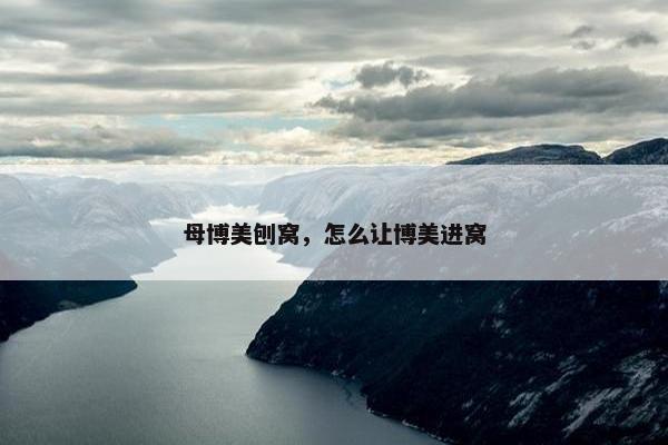 母博美刨窝，怎么让博美进窝