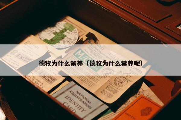德牧为什么禁养（德牧为什么禁养呢）