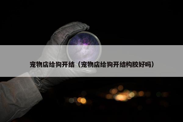 宠物店给狗开结（宠物店给狗开结构胶好吗）