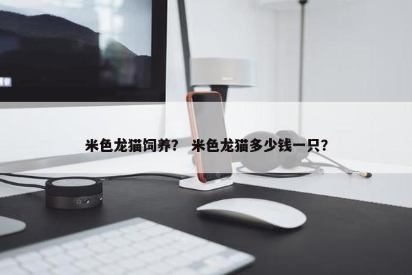 米色龙猫饲养？ 米色龙猫多少钱一只？