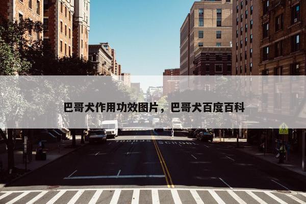 巴哥犬作用功效图片，巴哥犬百度百科