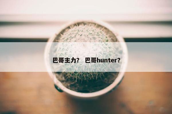 巴哥主力？ 巴哥hunter？